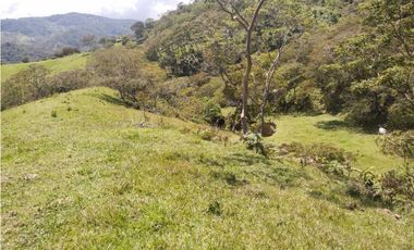 VENTA O PERMUTA DE FINCA EN JESUS MARIA SANTANDER - 20 HECTAREAS