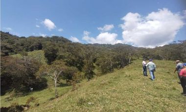 VENTA O PERMUTA DE FINCA EN JESUS MARIA SANTANDER - 20 HECTAREAS