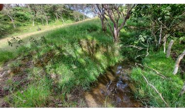 VENTA O PERMUTA DE FINCA EN JESUS MARIA SANTANDER - 20 HECTAREAS