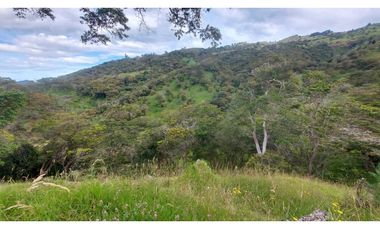 VENTA O PERMUTA DE FINCA EN JESUS MARIA SANTANDER - 20 HECTAREAS