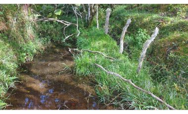 VENTA O PERMUTA DE FINCA EN JESUS MARIA SANTANDER - 20 HECTAREAS