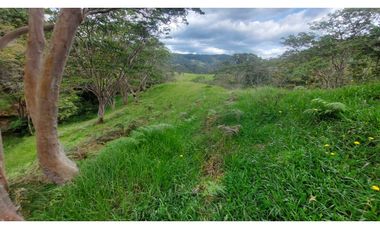 VENTA O PERMUTA DE FINCA EN JESUS MARIA SANTANDER - 20 HECTAREAS