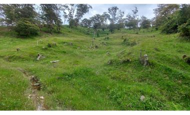 VENTA O PERMUTA DE FINCA EN JESUS MARIA SANTANDER - 20 HECTAREAS