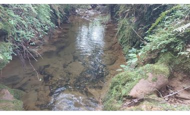 VENTA O PERMUTA DE FINCA EN JESUS MARIA SANTANDER - 20 HECTAREAS