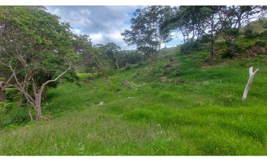 VENTA O PERMUTA DE FINCA EN JESUS MARIA SANTANDER - 20 HECTAREAS