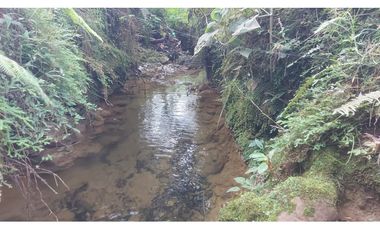 VENTA O PERMUTA DE FINCA EN JESUS MARIA SANTANDER - 20 HECTAREAS