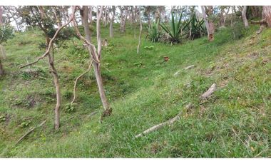 VENTA O PERMUTA DE FINCA EN JESUS MARIA SANTANDER - 20 HECTAREAS