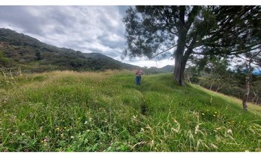 VENTA O PERMUTA DE FINCA EN JESUS MARIA SANTANDER - 20 HECTAREAS