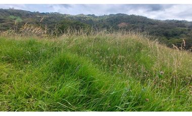 VENTA O PERMUTA DE FINCA EN JESUS MARIA SANTANDER - 20 HECTAREAS