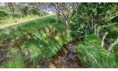 VENTA O PERMUTA DE FINCA EN JESUS MARIA SANTANDER - 20 HECTAREAS