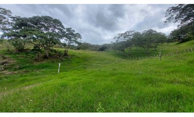 VENTA O PERMUTA DE FINCA EN JESUS MARIA SANTANDER - 20 HECTAREAS