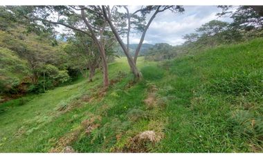 VENTA O PERMUTA DE FINCA EN JESUS MARIA SANTANDER - 20 HECTAREAS