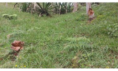 VENTA O PERMUTA DE FINCA EN JESUS MARIA SANTANDER - 20 HECTAREAS