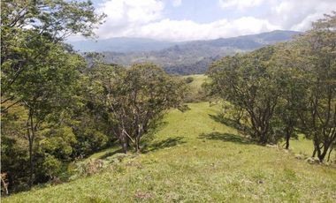 VENTA O PERMUTA DE FINCA EN JESUS MARIA SANTANDER - 20 HECTAREAS