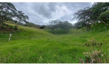 VENTA O PERMUTA DE FINCA EN JESUS MARIA SANTANDER - 20 HECTAREAS