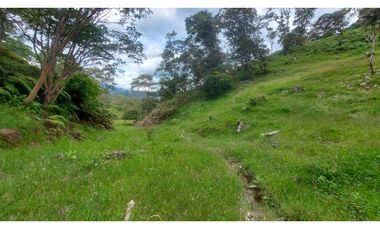 VENTA O PERMUTA DE FINCA EN JESUS MARIA SANTANDER - 20 HECTAREAS