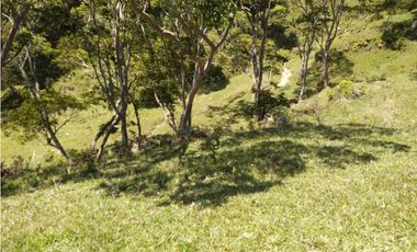 VENTA O PERMUTA DE FINCA EN JESUS MARIA SANTANDER - 20 HECTAREAS