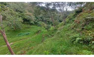 VENTA O PERMUTA DE FINCA EN JESUS MARIA SANTANDER - 20 HECTAREAS