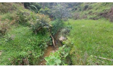 VENTA O PERMUTA DE FINCA EN JESUS MARIA SANTANDER - 20 HECTAREAS