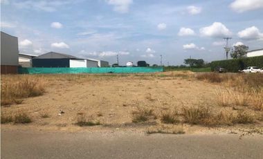 Lote la zona franca de palmaseca aeropuerto palmira