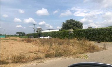 Lote la zona franca de palmaseca aeropuerto palmira