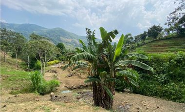 FINCA  EN VENTA SAN CARLOS, ANTIOQUIA