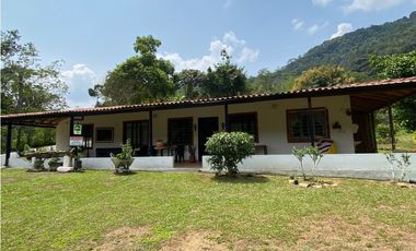 FINCA  EN VENTA SAN CARLOS, ANTIOQUIA