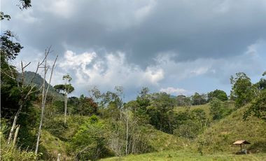 FINCA  EN VENTA SAN CARLOS, ANTIOQUIA