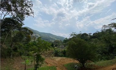 FINCA  EN VENTA SAN CARLOS, ANTIOQUIA