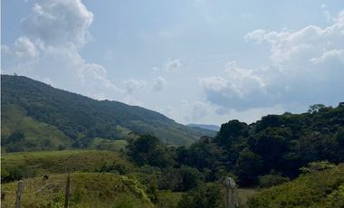 FINCA  EN VENTA SAN CARLOS, ANTIOQUIA