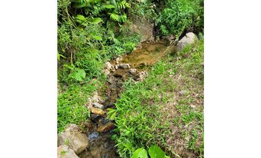 FINCA  EN VENTA SAN CARLOS, ANTIOQUIA