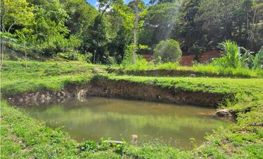 FINCA  EN VENTA SAN CARLOS, ANTIOQUIA