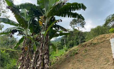 FINCA  EN VENTA SAN CARLOS, ANTIOQUIA