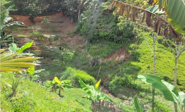 FINCA  EN VENTA SAN CARLOS, ANTIOQUIA