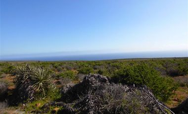 Parcela en Venta en Costa Dorada / Ovalle