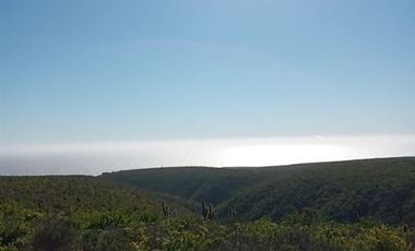 Parcela en Venta en Costa Dorada / Ovalle