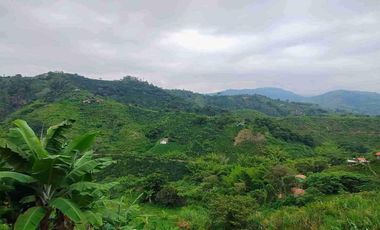LOCAL EN VENTA EN LA AUTOPISTA DEL CAFE/MANIZALES
