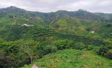 LOCAL EN VENTA EN LA AUTOPISTA DEL CAFE/MANIZALES