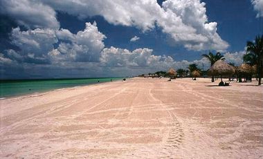 Terreno Frente al Mar en Venta en Celestún