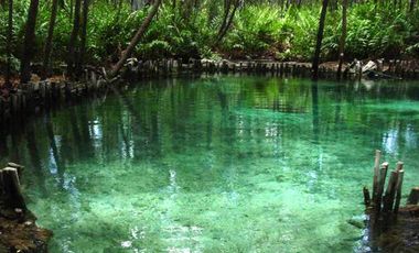 Terreno Frente al Mar en Venta en Celestún