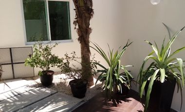 Casa amueblada en Renta en  Flamboyanes, Col. Miami