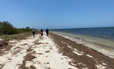 Terreno en venta 20 mts lineales en la playa frente al mar en Chabihau