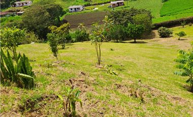 VENDO FINCA  EN MARINILLA VIA PEÑOL 5.240 METROS VEREDA CHOCHO MAYO CH