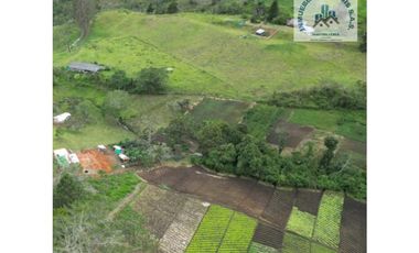 ref 897a manantial de la pradera/vendo lotes campestres en la cumbre