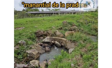 ref 897a manantial de la pradera/vendo lotes campestres en la cumbre