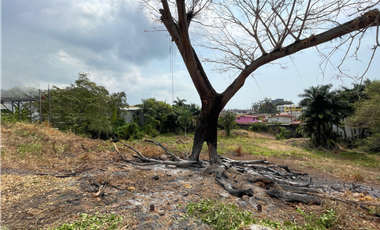 Se alquila terreno comercial en Ave de los Mártires - Santa Ana (DR)