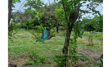 VENDO LOTE DE 2000M2 TITULADO TINAJAS