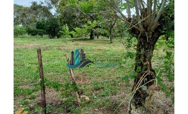 VENDO LOTE DE 2000M2 TITULADO TINAJAS