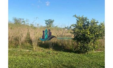 VENDO 3HECTAREAS + EN SANTA RITA BOQUERON
