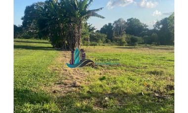 VENDO 3HECTAREAS + EN SANTA RITA BOQUERON